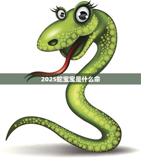 2025是什么蛇